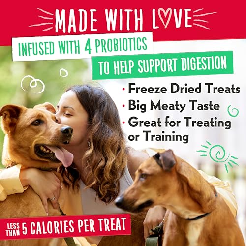 Charlee Bear Grain Free Meaty Bites Freeze Dried Dog Treats, Chicken and Blueberries, 2.25 Ounce Resealable Bag, Training Treats or Meal Topper, High Protein Dog Snacks, Made in USA