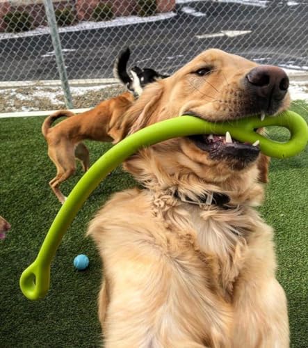 Jersey Dog Co. Perfect Tug Dog Tug of War Dog Toy, Safe Puppy Chew Toys, Made in The USA Rubber-Free Toy 24” Long