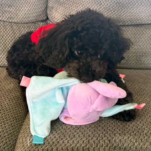 Suilung 3 Pcs Puppy Chew Toys Snuffle Mat Dog Puzzle Toys Dog Treat Balls to Keep Them Busy Pet Interactive Foraging Training Ball for Small Medium Breed Teething Cleaning Intellect Training