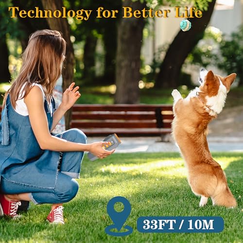 Elevated Pets Calming Dog Treats for Anxiety Relief – Melatonin, Chamomile & L-Theanine | Sleep & Stress Support for Travel, Thunder, Barking