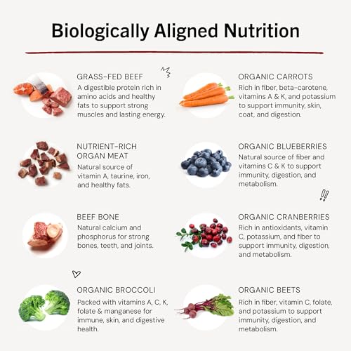 Stella & Chewy's Freeze Dried Raw Dinner Patties – Crafted for Puppies – Grain Free, Protein Rich Perfectly Puppy Beef & Salmon Recipe – 5.5 oz Bag, Pack of 1