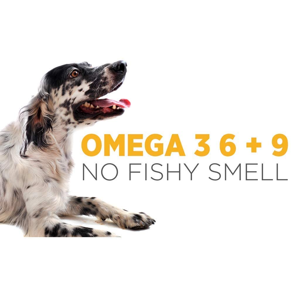 maxxipaws Ultimate Joint Support for Dogs – maxxiflex+ Canine Hip and Joint Supplement & maxxiomega 3 6 9 Omega Fish Oil & maxxiSAMe Advanced SAM-e Support for Dogs