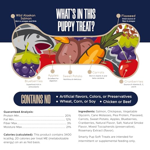 Smarty Pup Salmon Jerky - 12 oz of Fruit, Veggies, and Fish Dog Treats – Puppy Jerky Made with Apples, Carrots, Sweet Potato, Wild Alaskan Salmon, Blueberries, Cranberries, and More