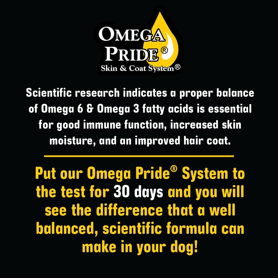 Sportsman's Pride Classic 24/20 High Energy Dry Dog Food, 40-lb Bag