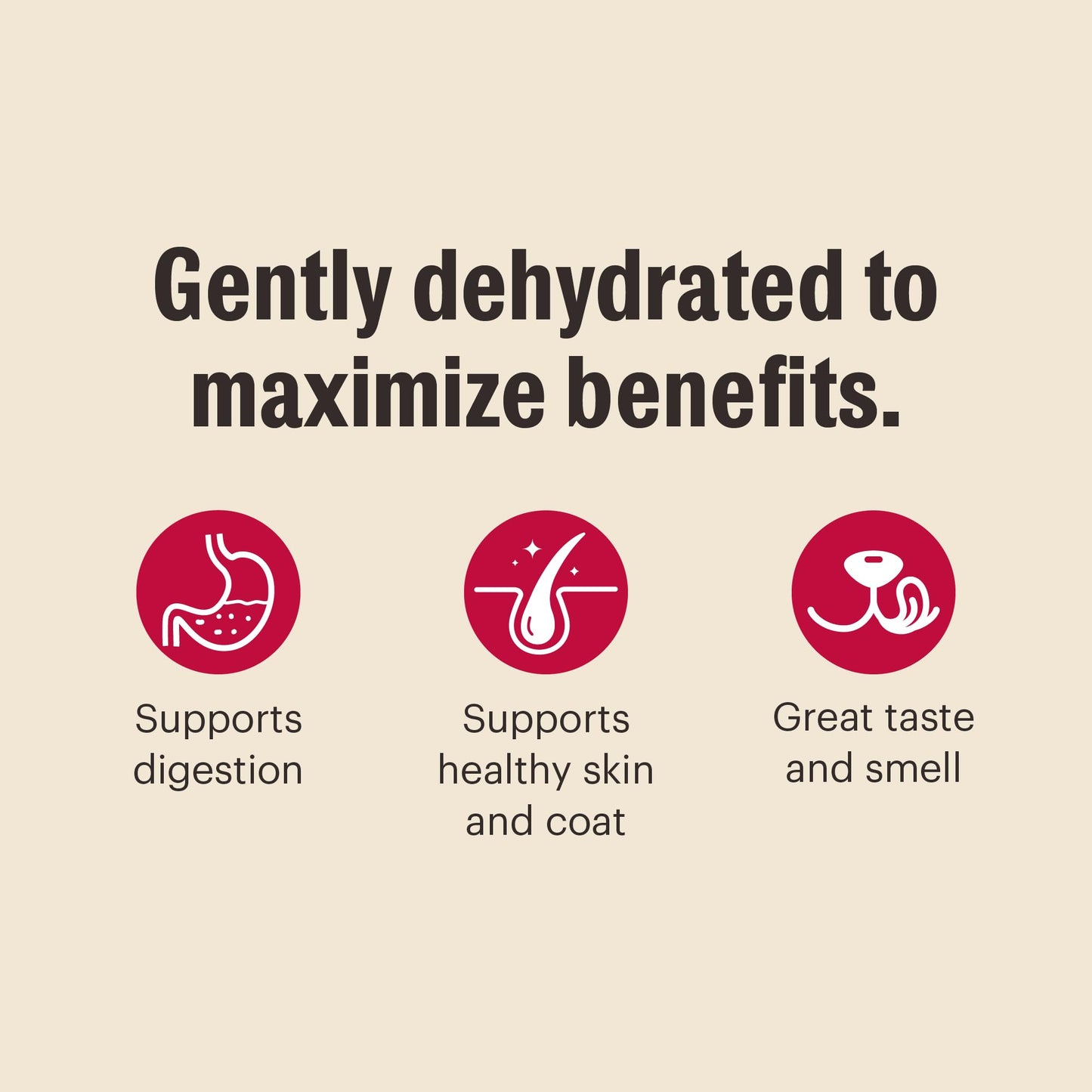 The Honest Kitchen Dehydrated Whole Grain Chicken Dog Food, 4 lb Box