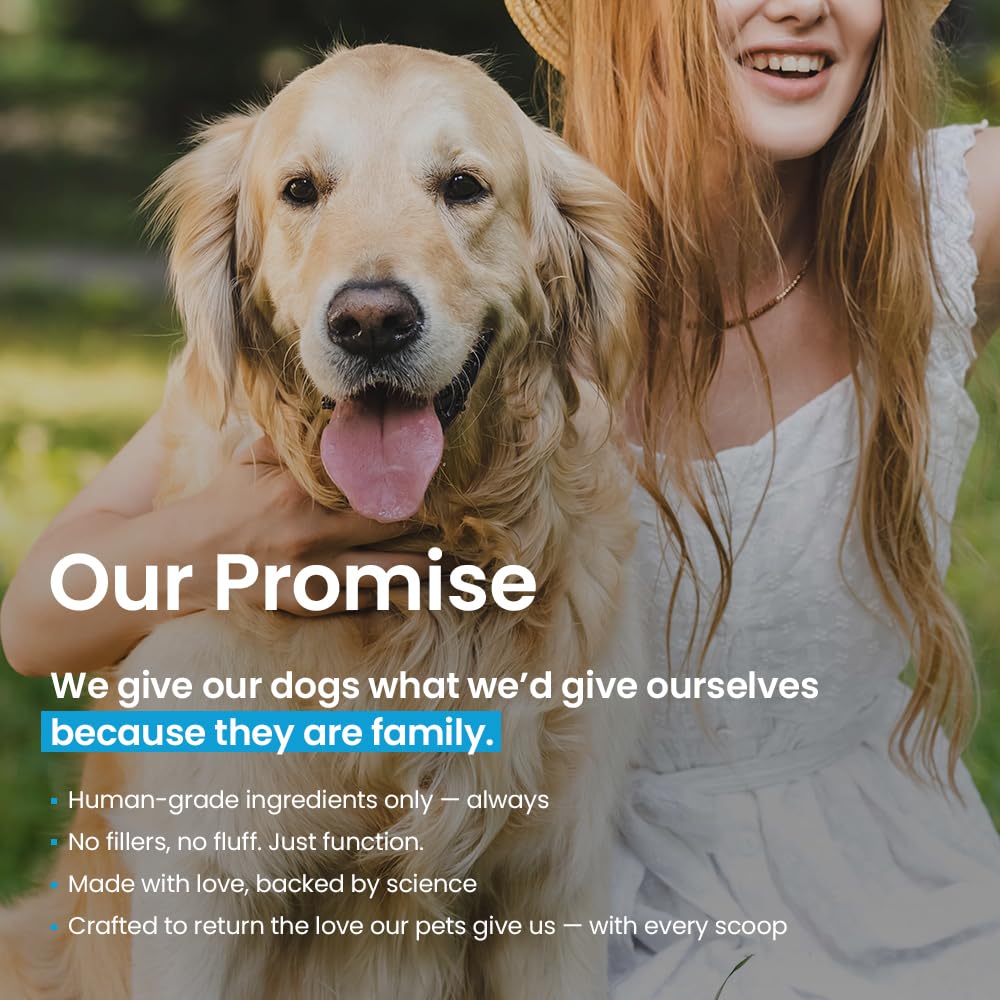 Human Grade Daily Probiotic for Dogs – Vet Approved with 7 Clinically Proven Strains + Prebiotics, Gut & Immune Support with Pumpkin & Carrot – 60 Servings – 5 Billion CFU per Scoop