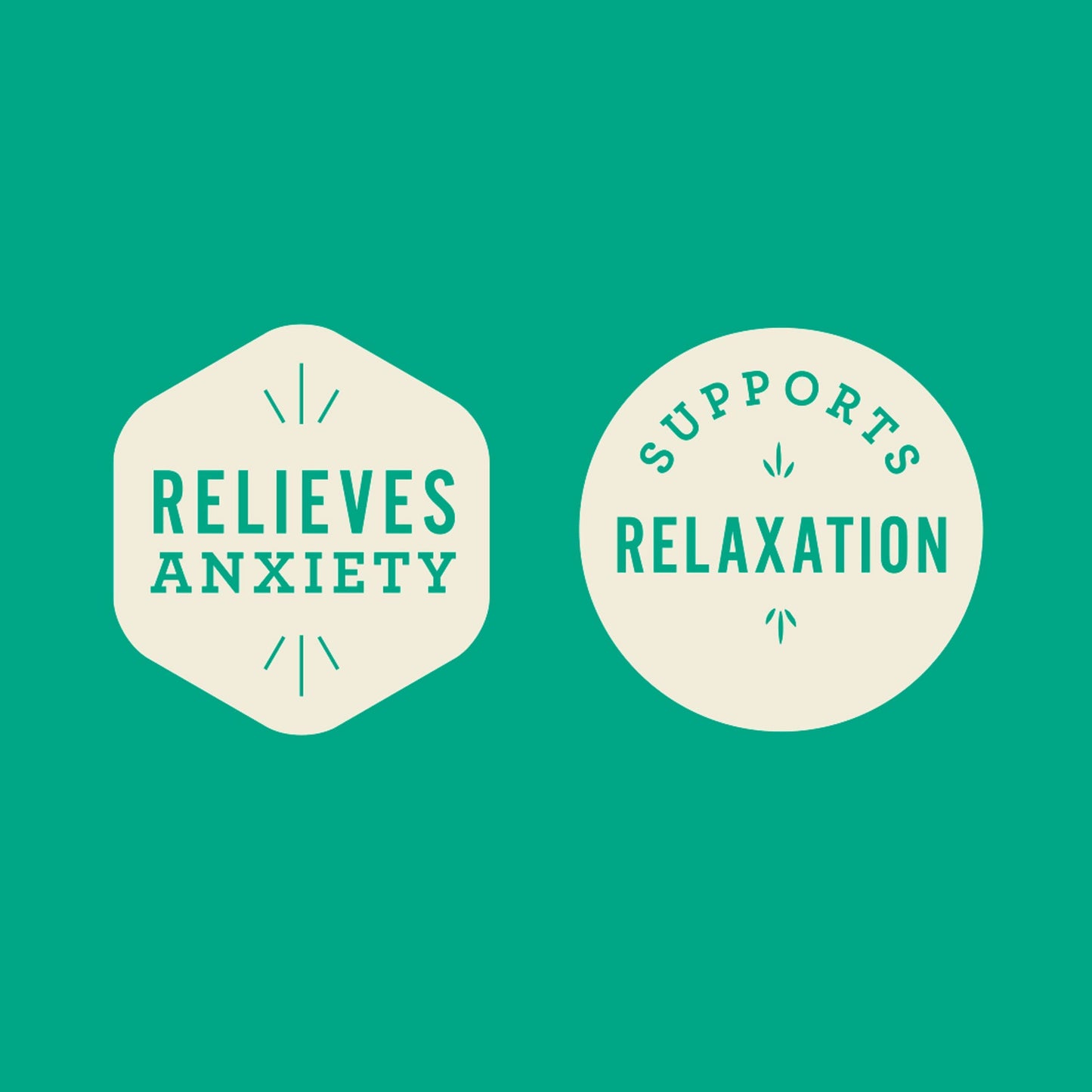 Hemp Well Calm Dog Soft Chews Relieves Anxiety, Calms and Relaxes Your Dog, Aids in Stress Relief and Behavioral Issues, Organically Sourced (2 Pack (120 Chews))