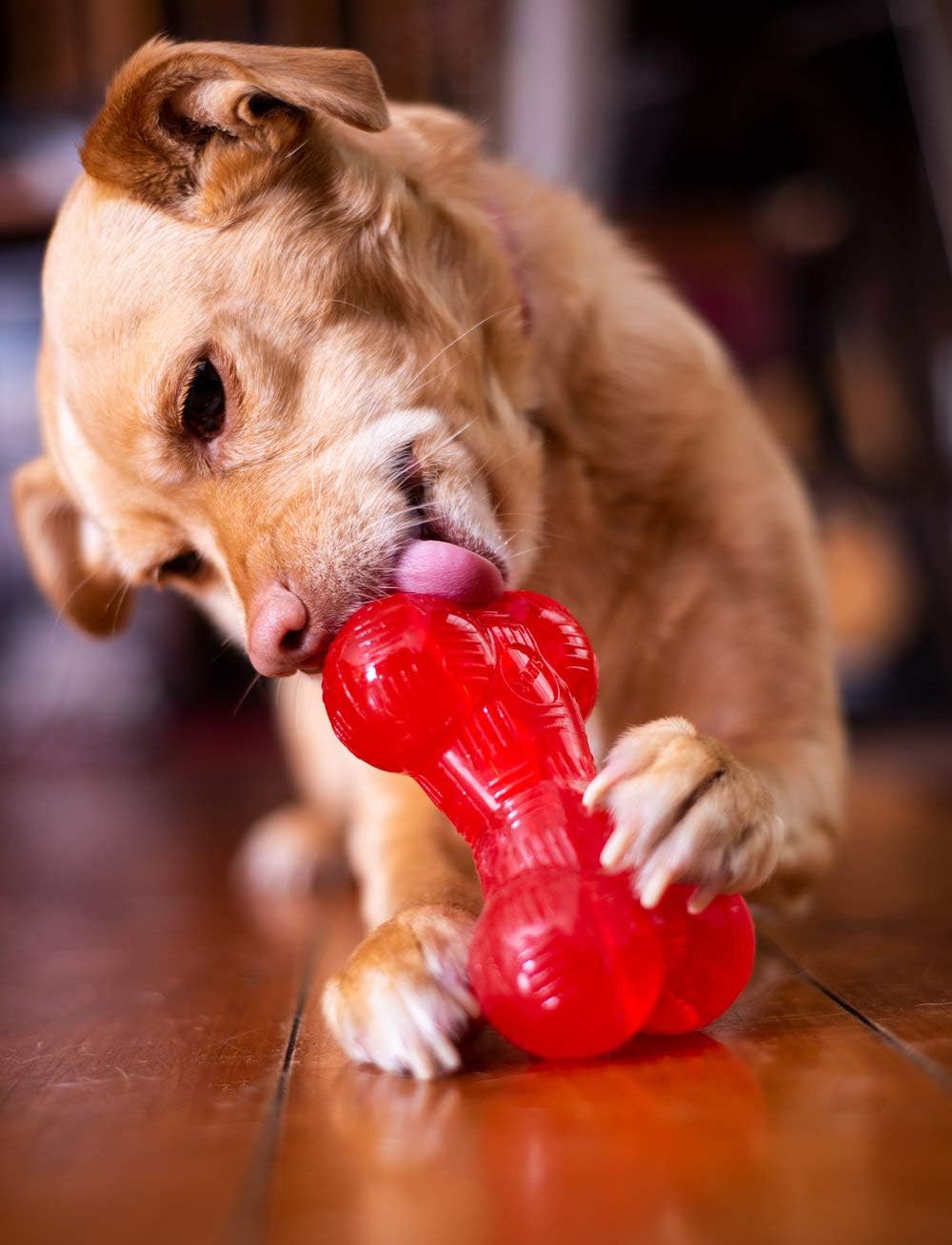 SPOT Play Strong Bone- Durable TPR Long Lasting Dog Chew for Aggressive Chewers, Hole for Treats, Virtually Indestructible Toy for Medium Dogs & Puppies - 5.5 inch