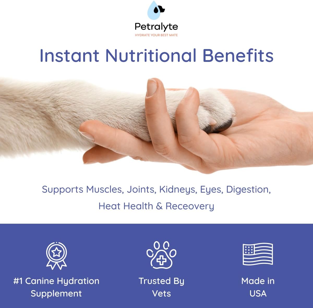 Petralyte Dog Electrolytes and Joint Supplement | Glucosamine, Chondroitin & MSM for Inflammation and Mobility Support | Electrolytes for Dogs with Prebiotics | for Chicken Lovers | 16 Packets
