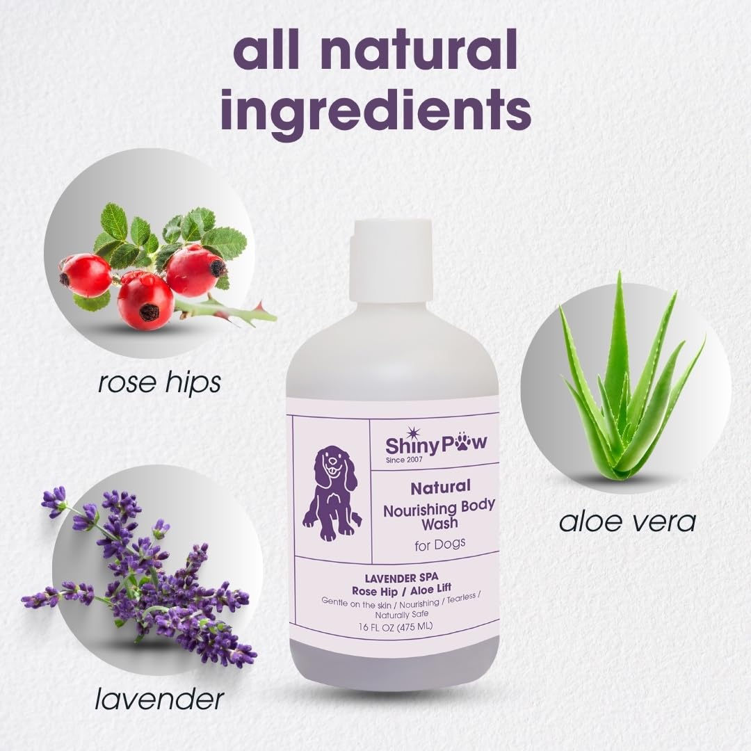 Lavender Shampoo Spa Essentials Nourishing Dog Body Wash by Shiny Paw (16 oz) | Anti Itch Shampoo for Dogs | Dog Bath Coat Cleansing for Dogs | Made in The USA