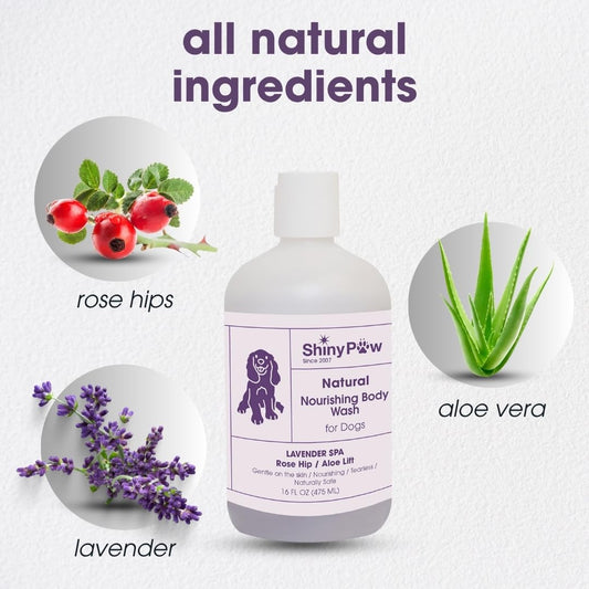 Lavender Shampoo Spa Essentials Nourishing Dog Body Wash by Shiny Paw (16 oz) | Anti Itch Shampoo for Dogs | Dog Bath Coat Cleansing for Dogs | Made in The USA