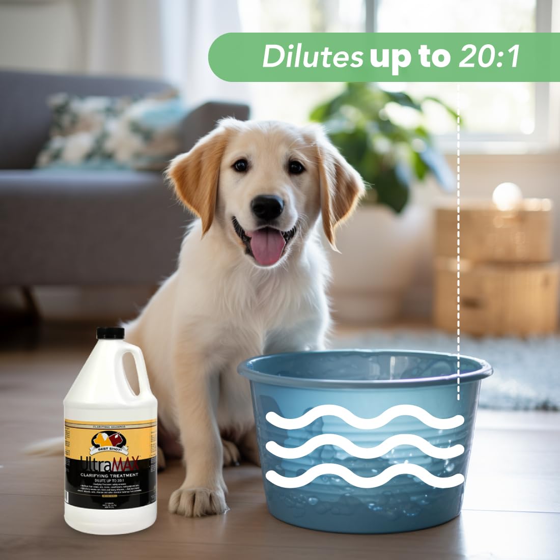 Best Shot UltraMAX Hypoallergenic Clarifying Shampoo, Versatile Pet Shampoo, Ideal Pet Grooming Supplies, Ready to Use, Sweet Pea Essence, 1.1 Gallon