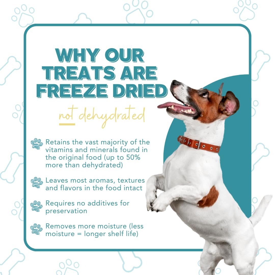 Remy’s Kitchen Just Beef Freeze Dried Dog Treats USA Sourced and Small Batch Made - Human-Grade, All Natural Single Ingredient Dog Treat Without Artificial Preservatives, Grain Free - 3 oz