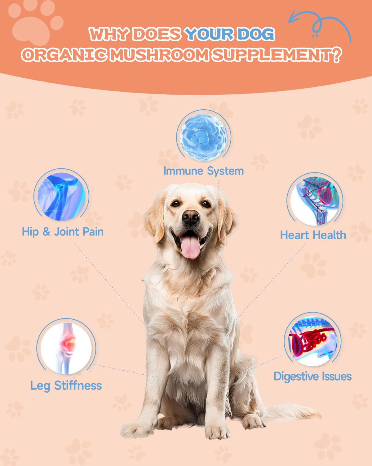 Mushroom Supplement for Dogs & Collagen for Dogs - Lipoma, Digestive, Cellular, Immune Health Support - Hip & Joint, Skin & Coat - With 9 Organic Mushrooms, Collagen, MSM - Chicken & Roast Chicken Fla