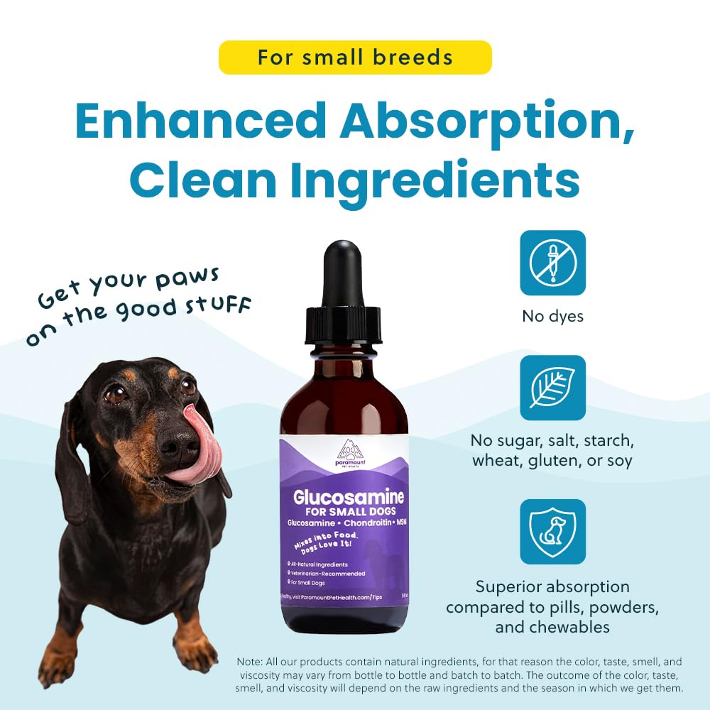 Paramount Pet Health Liquid Glucosamine for Small Dogs, 260mg Glucosamine Liquid for Dogs Joint Supplement for Mobility & Comfort, Easy-to-Use Liquid MSM & Chondroitin, 2 oz