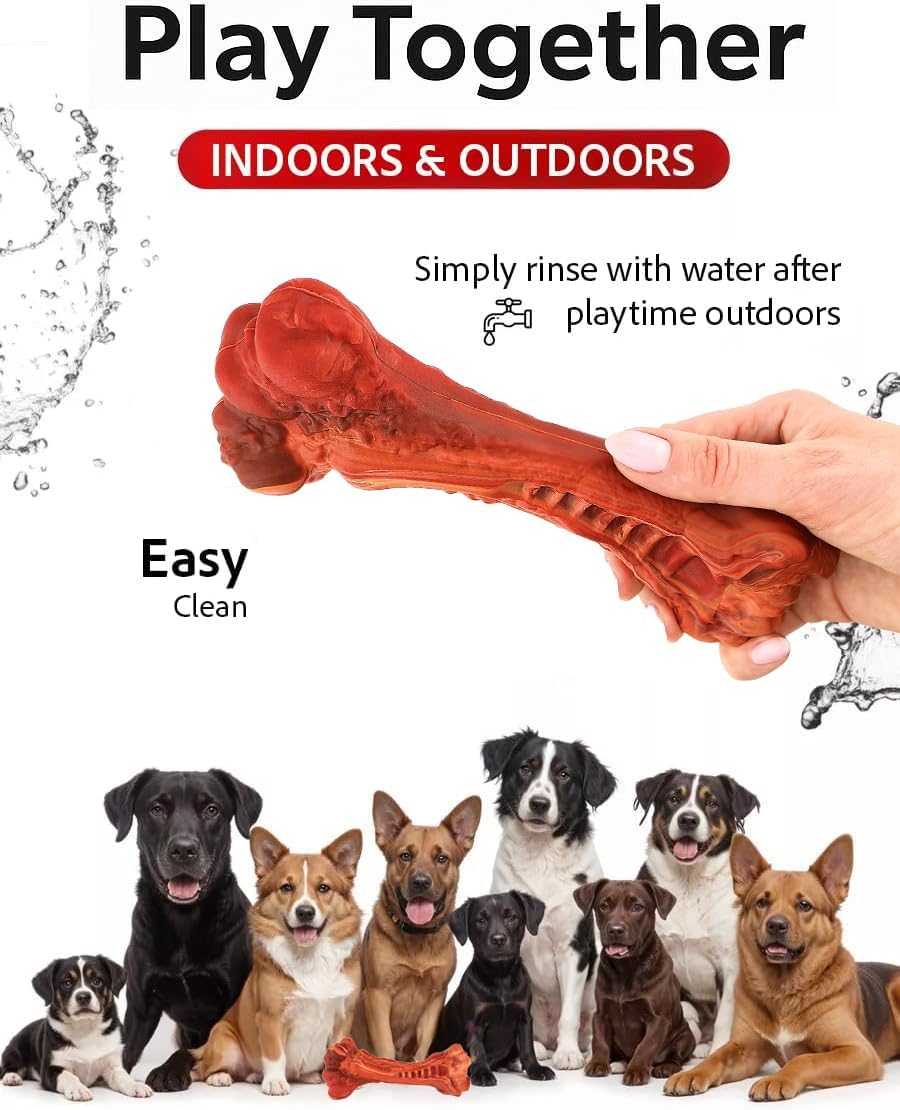 Paws Power Dog Chew Toy - Natural Rubber Dog Toy, Beef Flavor – Dog Toys for Medium & Large Dogs - Bone-Shaped Chew for Dental Health - Indoor and Outdoor Play