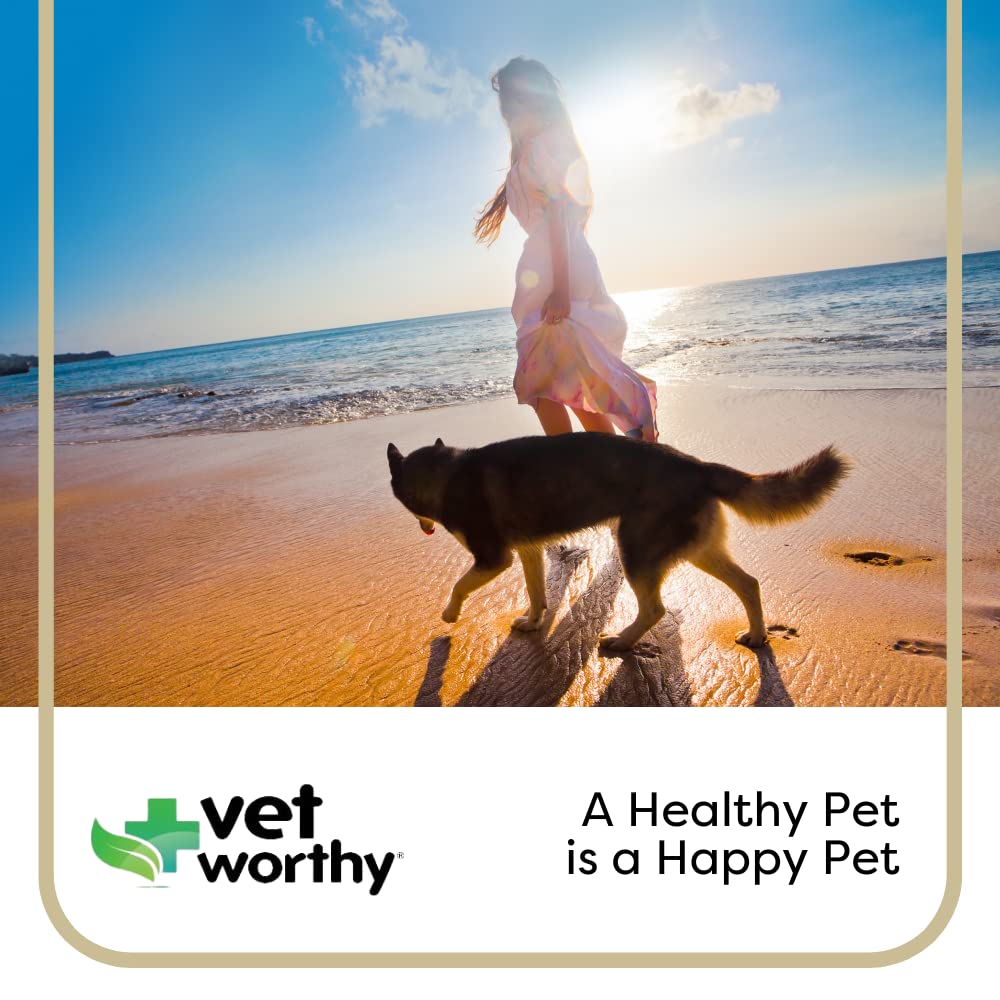 Hemp + Glucosamine Dog Treats for Picky Eaters Bundle + Hip & Joint Supplement w/Hemp Oil Chondroitin MSM Turmeric + Omega-3 - Natural Pain Relief + Chicken Flavor - 120 +180 Soft Chews - Made in USA