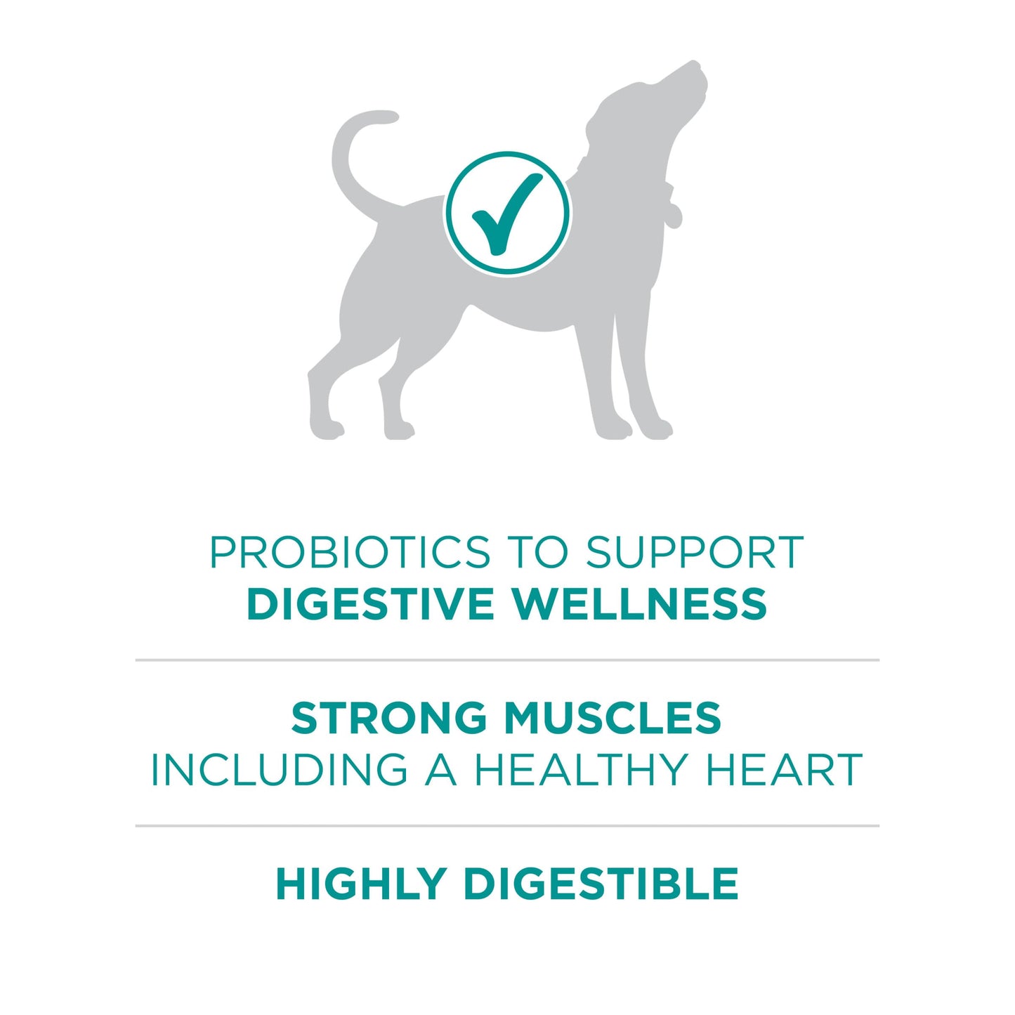 Purina One Plus Digestive Health Formula Dry Dog Food Natural with Added Vitamins, Minerals and Nutrients - 16.5 Lb. Bag
