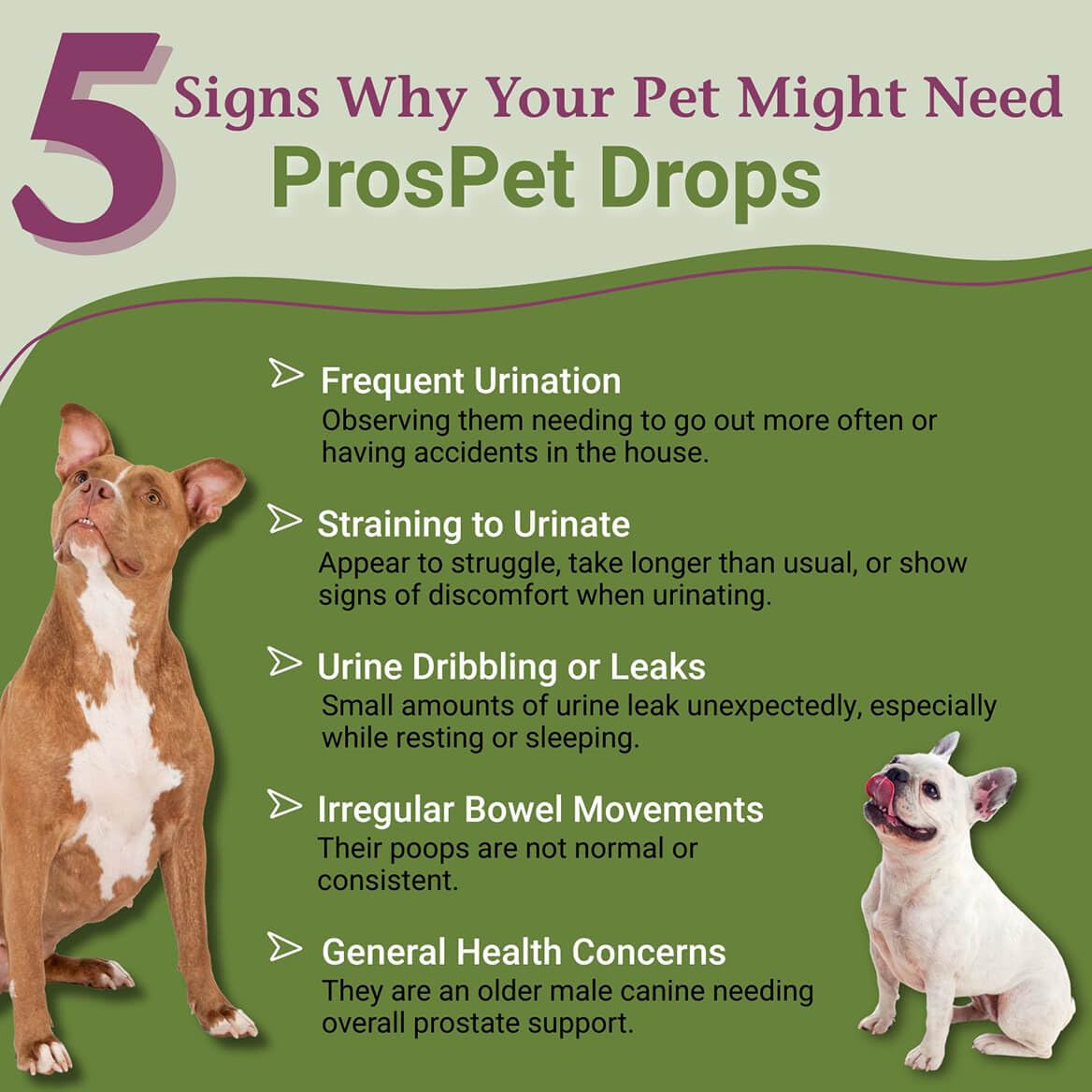 PetAlive ProsPet Drops for Pet Prostate and Bladder Health - Herbal Supplement for Dog Urinary Tract, Bladder and Immune Support - Constipation Relief - 59 ml