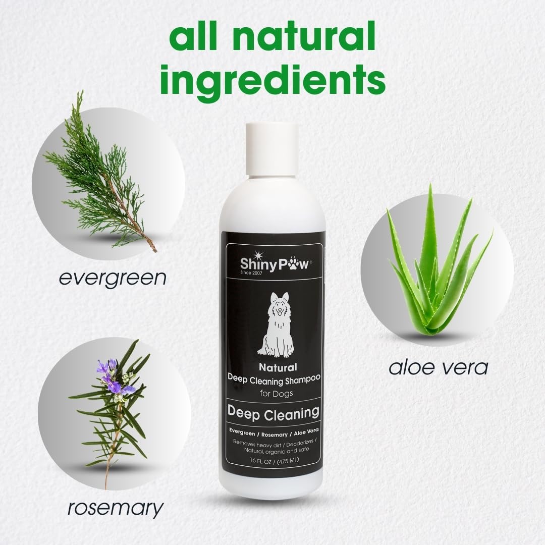 Shiny Paw Natural Deep Cleaning Organic Dog Shampoo 16 oz | Dog Itching Skin Relief with Evergreen, Aloe & Rosemary | Natural Dog Shampoo for Smelly Dogs