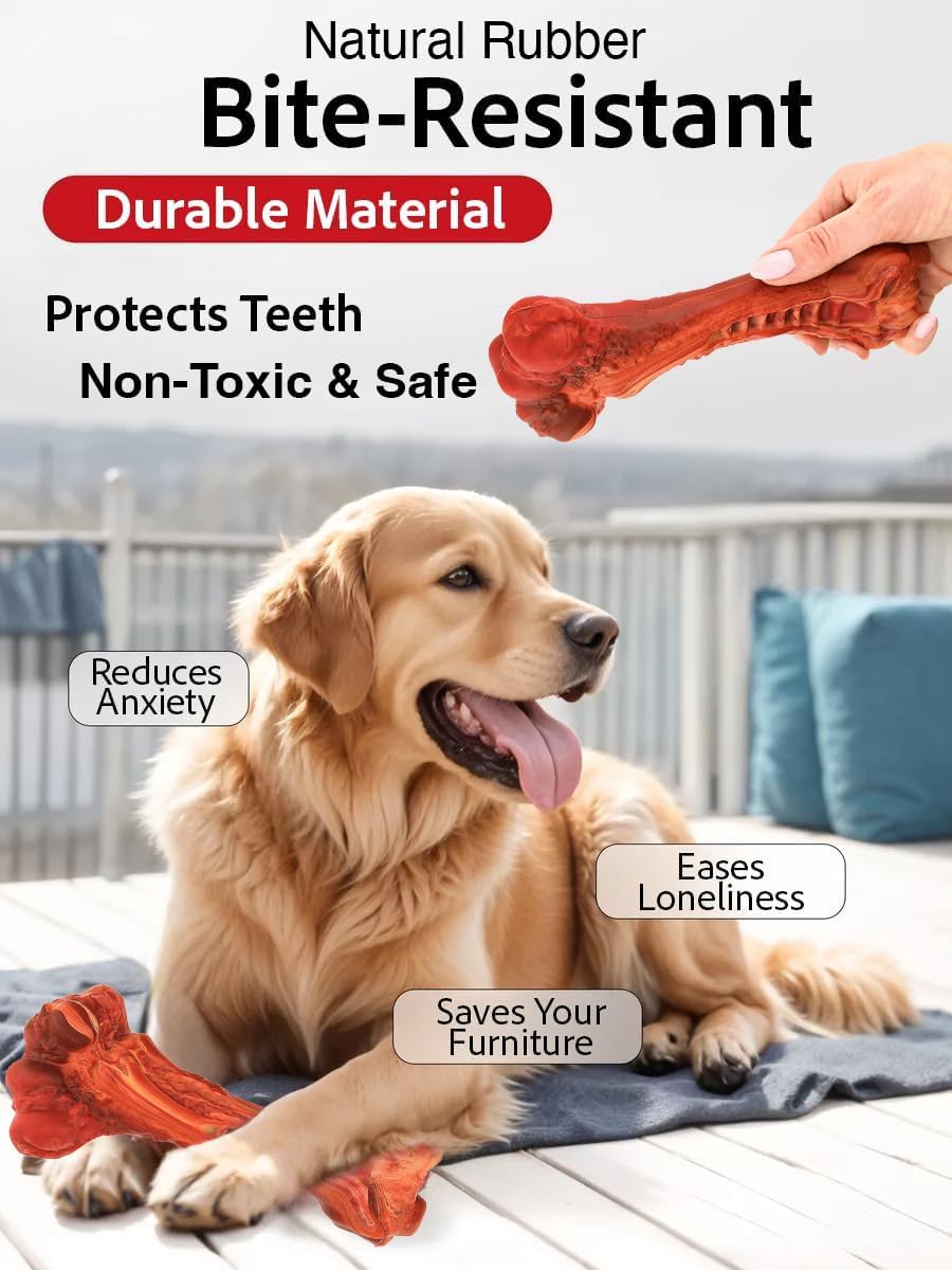 Paws Power Dog Chew Toy - Natural Rubber Dog Toy, Beef Flavor – Dog Toys for Medium & Large Dogs - Bone-Shaped Chew for Dental Health - Indoor and Outdoor Play