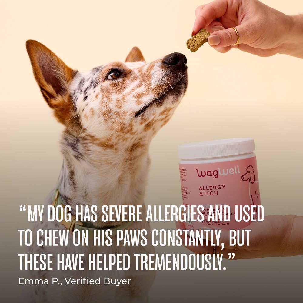 WagWell Allergy and Itch Chews – Chicken Flavored – Plant Based with Colostrum and Spirulina – Dog Skin and Coat Supplement for Itch Relief and Digestive Health, 60 Chews