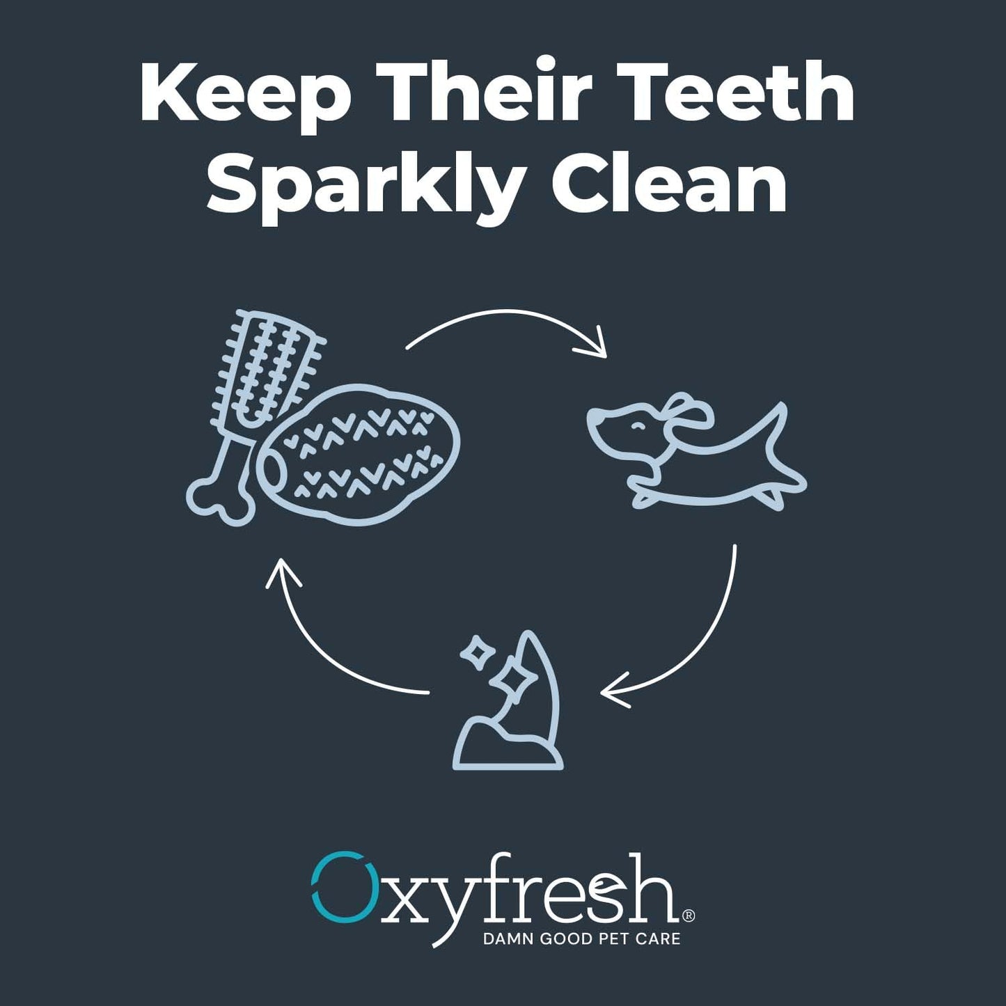 Oxyfresh Dog Dental Chew Toy - Best Durable Rubber Dog Toy for Tough Chewers – Helps Remove Plaque, Cleans Teeth & Freshens Breath Without Brushing (Large)