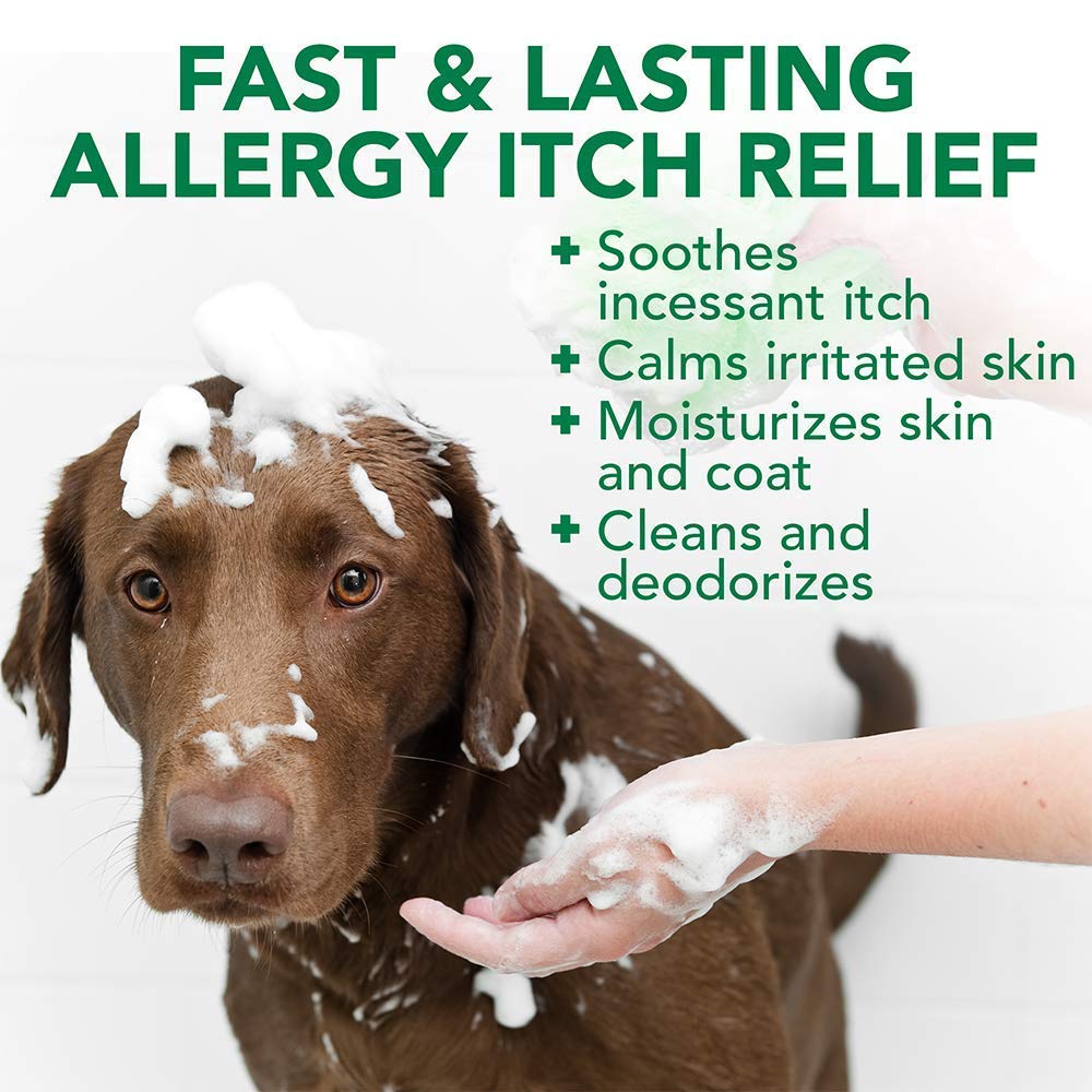 Vet's Best Allergy Relief Dog Shampoo – Oatmeal and Aloe Formula for Itchy Skin and Seasonal Allergies – Soothing Anti-Itch Shampoo for Dogs with Dry, Sensitive Skin – 16 oz