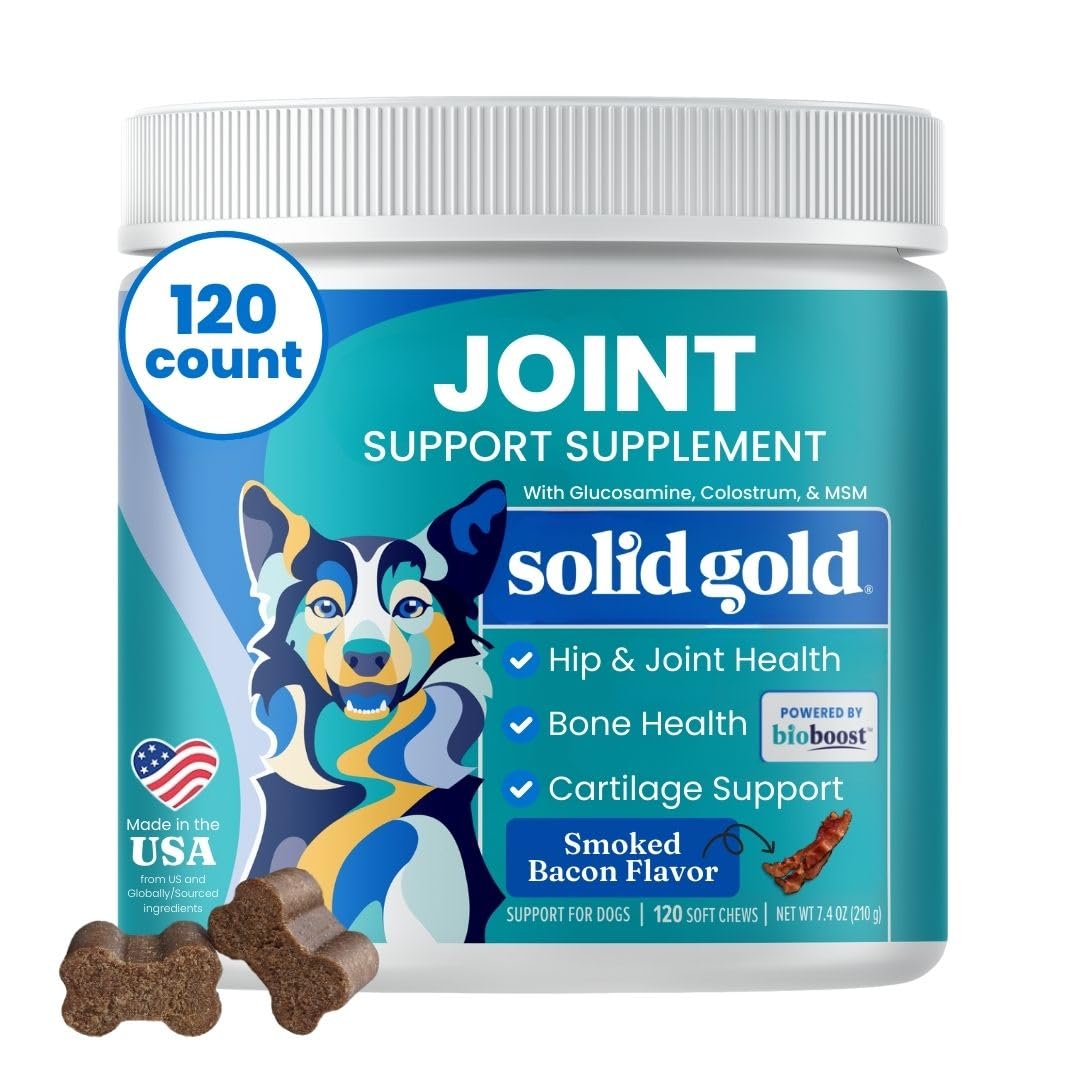 Solid Gold Hip and Joint Supplement for Dogs - Glucosamine Chondroitin MSM for Hip & Joint Pain Relief for Dogs - Puppy, Adult & Senior Dog Supplements for Dog Arthritis Pain Relief & Mobility - 120ct