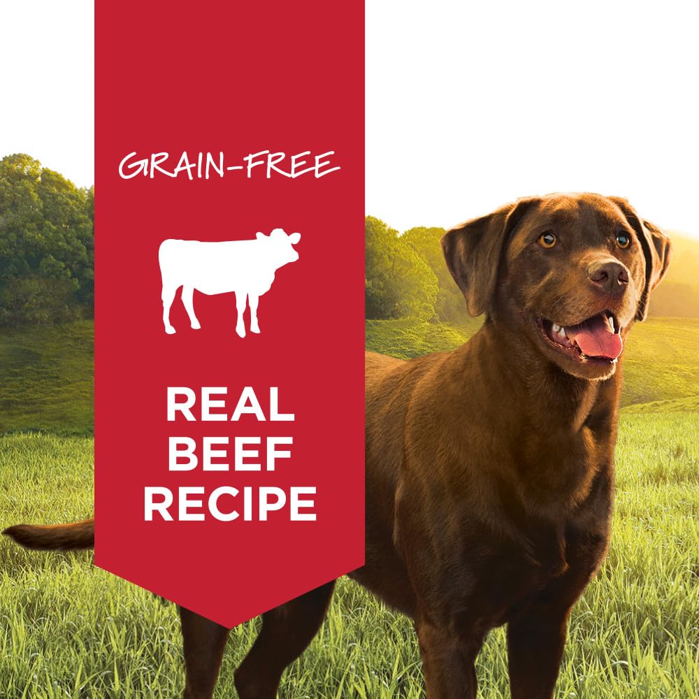 Instinct Original Wet Dog Food, Grain Free Recipe - Real Beef, 13.2 oz. Cans (Pack of 6)