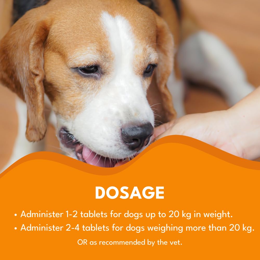 Petroyale Multivitamin Chews for Dogs - 22 in 1 Multivitamins for Dogs - Dog Multivitamins Chewable with Probiotics - Puppy & Senior Dog's Vitamins - Daily Dog Multivitamin Supplement - 50 Chews