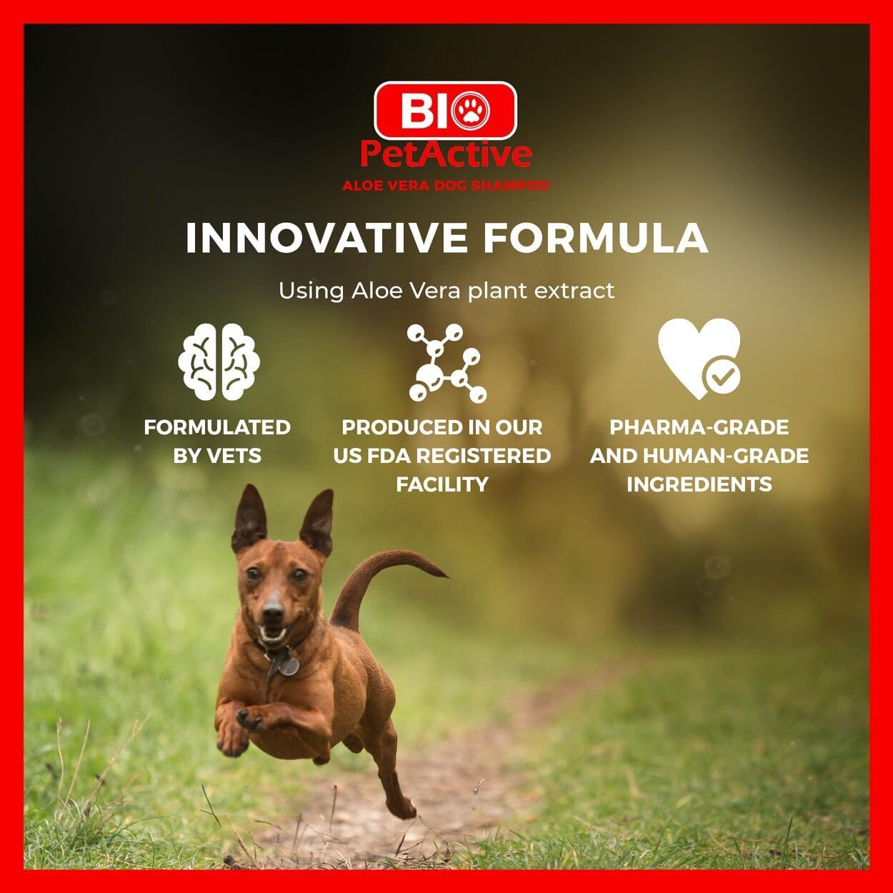 Bio PetActive Aloe Vera Extract Shampoo for Dogs - Cleansing & Moisturizing Care for Sensitive and Normal Skin, Paraben Free, pH Balanced + Natural Ingredients - 13.53 Fl oz