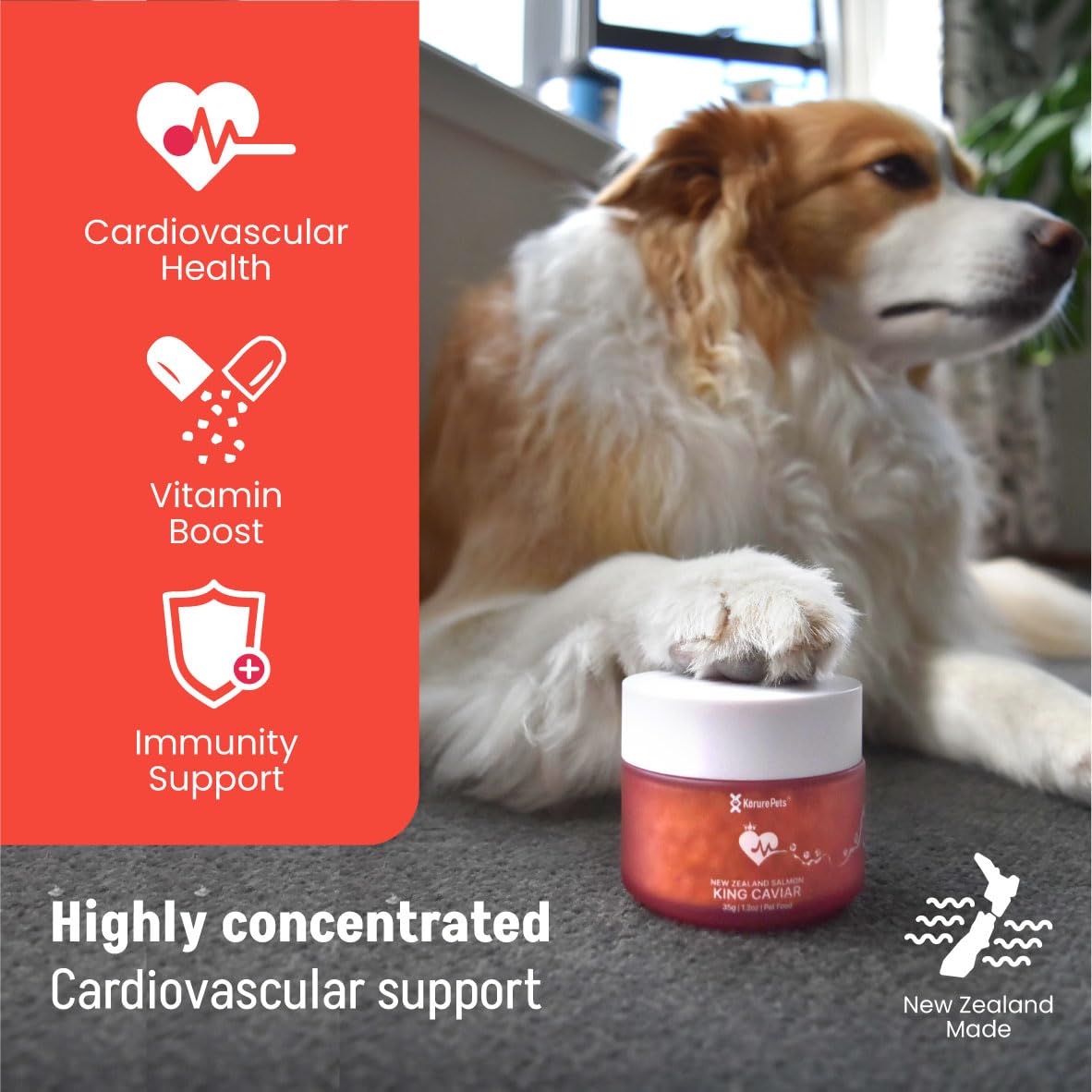 Zignature Turkey Limited Ingredient Formula Dry Dog Food 25lb