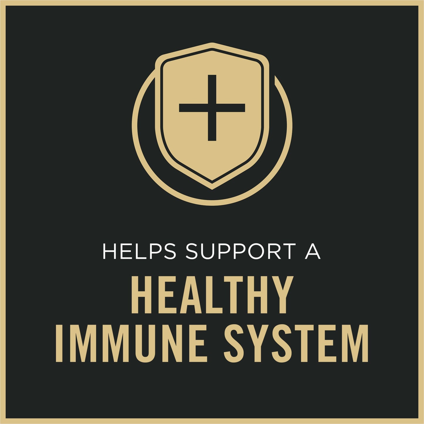 Purina Pro Plan Wet Dog Food For Senior Dogs Adult 7 Plus Chicken and Rice Entree Classic - (Pack of 12) 13 oz. Cans