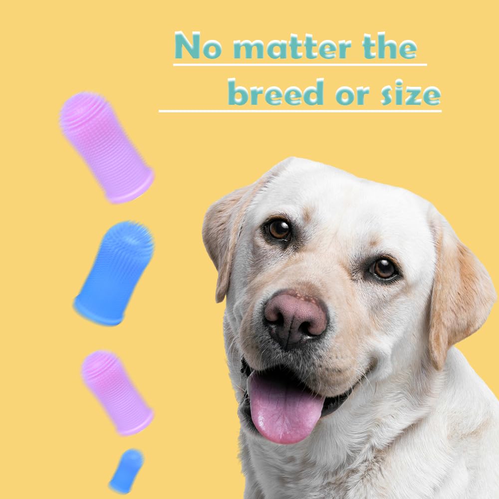 Cylindrical dog toothbrush for Dogs–the Easy to Use Dog Tooth Brushing Kit, With of Toothbrush for Dogs you will get the Hygiene, Takes Care of Teeth and Gums, Ideal for Pets of All Ages-2 Pack