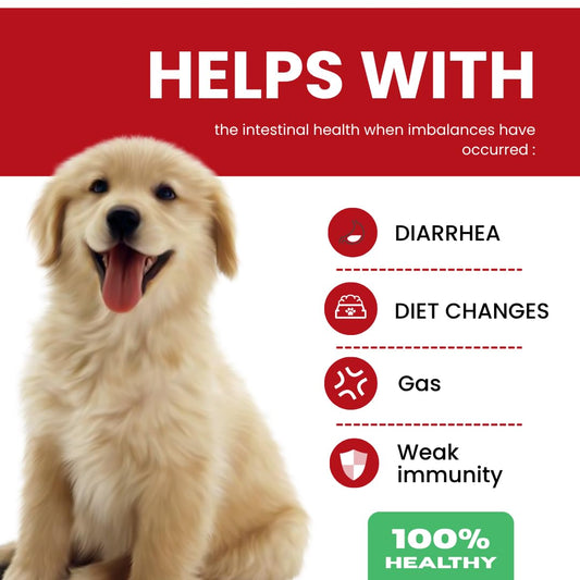 TPC Probiotics for Dogs, 90 Soft Chews – Dog Probiotics with Digestive Enzymes & Prebiotics – Supports Gut Health, Diarrhea & Bowel Support, Seasonal Allergies – Pet Supplement