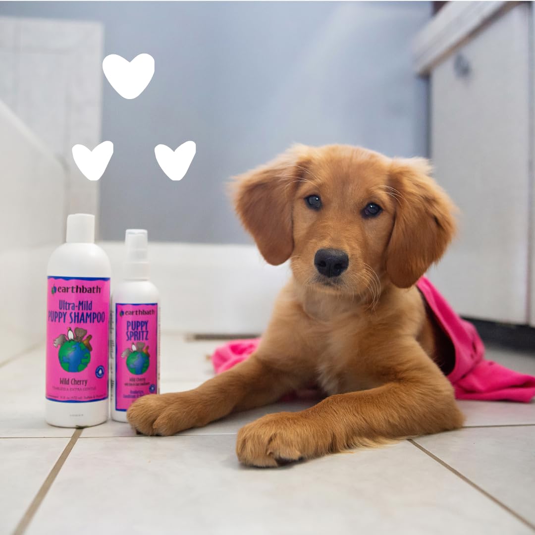 earthbath Oatmeal & Aloe Dog Shampoo & Conditioner - Dog Wash, Helps Dry Itchy Skin, Made in USA, Fragrance-Free, Pet Bathing Supplies - 16 oz (1 Set)