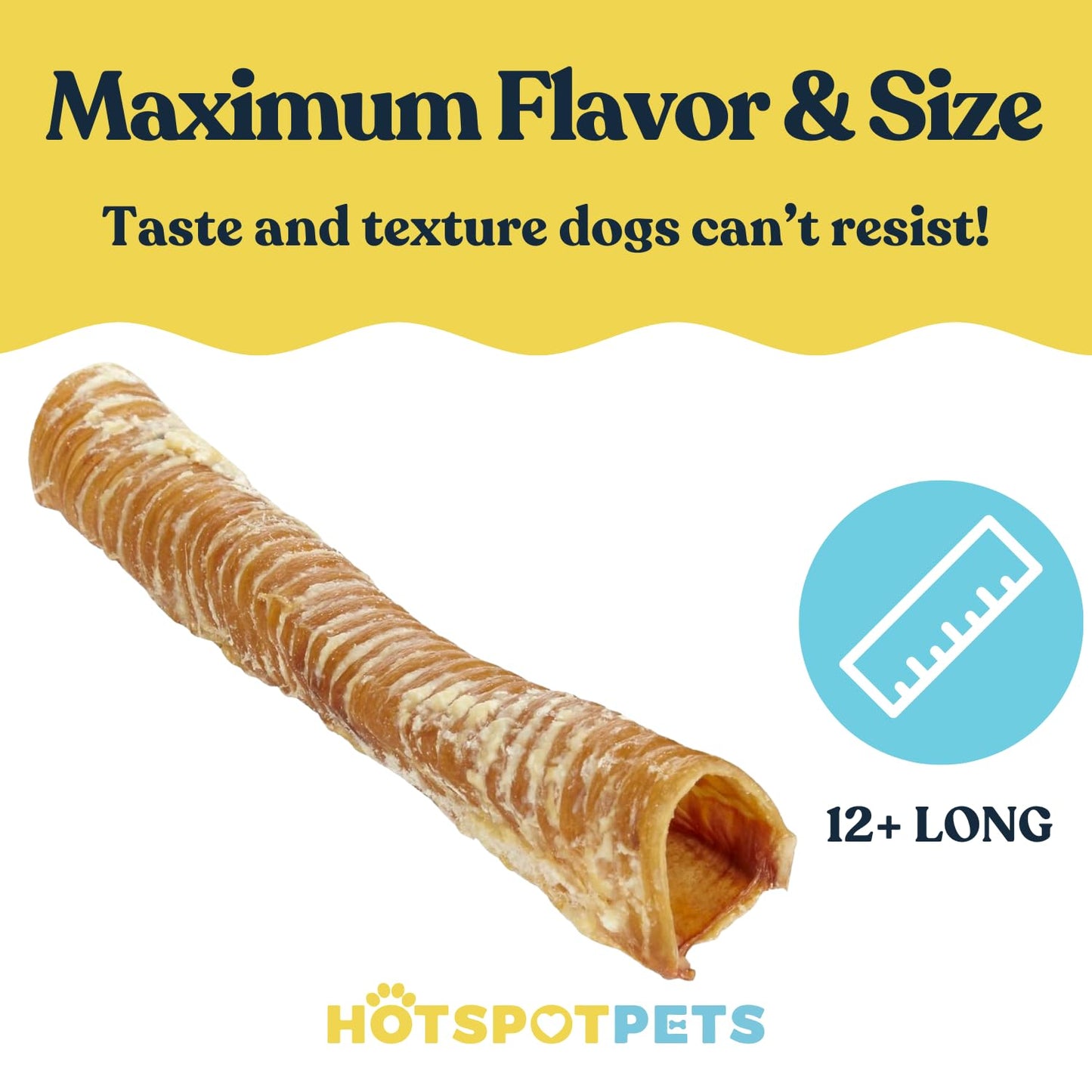 hotspot pets Premium 12'' Beef Trachea for Dogs Large - (5 Pack) All Natural Long Lasting Dog Chews Rich in Glucosamine & Chondroitin 100% Beef Chews Single Ingredient Grass Fed Dog Treats