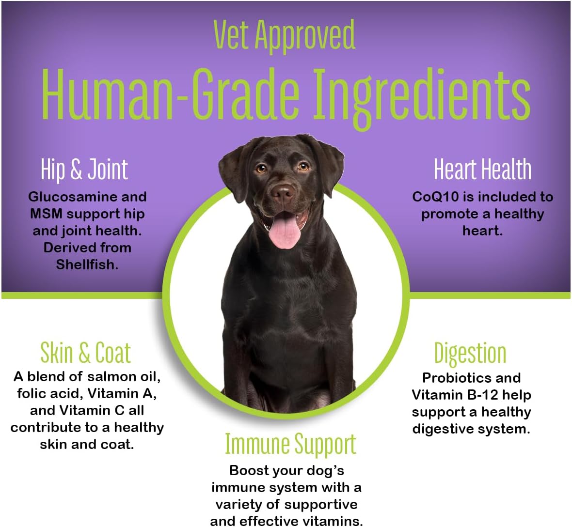 Bark Boosters Daily Dog Multi Vitamins, Made with Human Grade Ingredients, Probiotic Supplement, All-in-One to Support Joints, Digestion, Immunity, Heart Health, Skin & Coat, 60 Chews (1 Pack)
