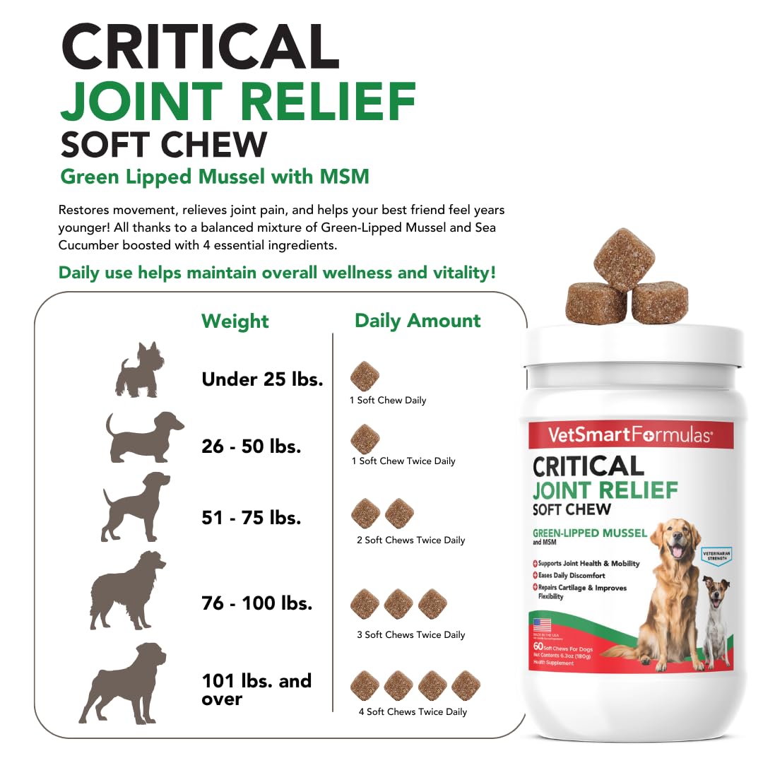 VetSmart Formulas Critical Joint Relief Soft Chew for Dogs – Hip & Joint Supplement with Glucosamine, MSM, Green-Lipped Mussel – Joint Discomfort, Hip Dysplasia & Mobility Support, Made in USA