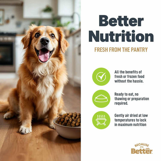 BUDDY BUDDER Bangin Bacon Peanut Butter, 100% Natural, 17oz, Dog Treat, Pill Pocket, Made in USA