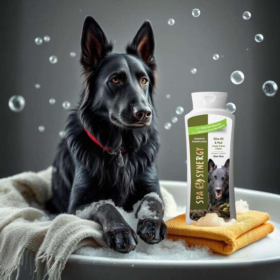 Spa Synergy Pet Dog Shampoo Mud and Natural Dead Sea Mineral Rich, Aloe Vera & Vitamin-E, Anti-itching, Soften & Shiny Coat, Moisturizing - Olive Oil - (1) Bottle 16.5 FL OZ