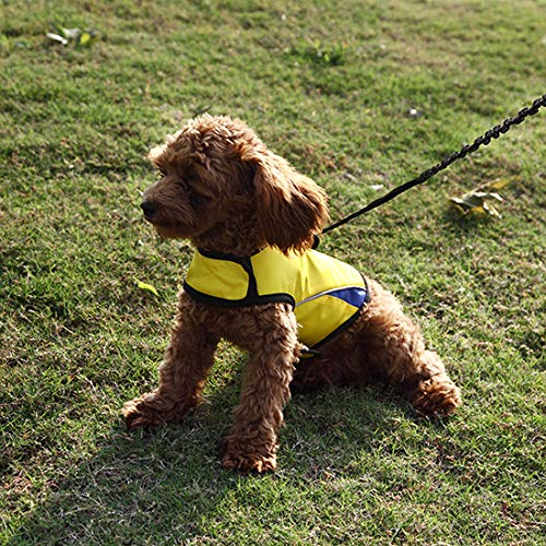 Dog Anxiety Jacket Keep Calming Vest Thunder Coat with D-Ring and Training Handle for Small Dogs