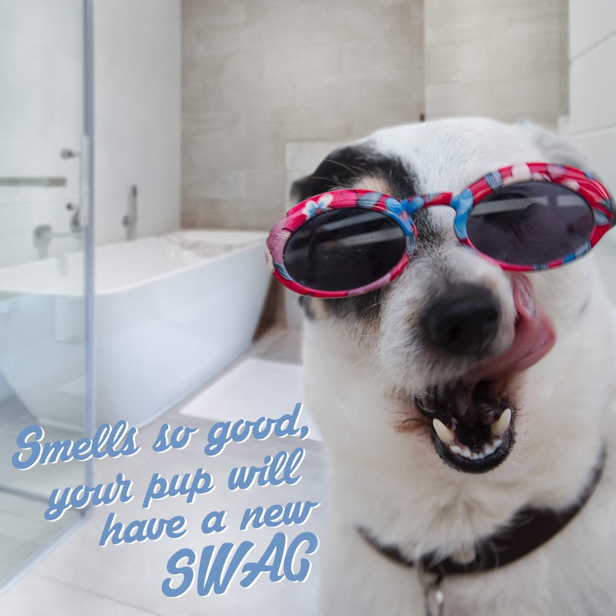 OLIVER'S CHOICE Dog Shampoo with Oatmeal, Aloe & Shea Butter – Deodorizing Puppy Shampoo for Smelly Dogs, Itchy Skin Relief, Paraben-Free, Biodegradable, Cruelty Free – 12 fl. oz