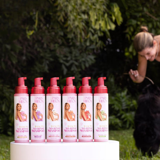 Paris Hilton Pet Iconic Cucumber Melon Scent No-Rinse Dog Shampoo, Waterless Dog Wash, Hypoallergenic, 280ml – Quick Clean for Dogs, Easy Grooming, No Rinse Needed