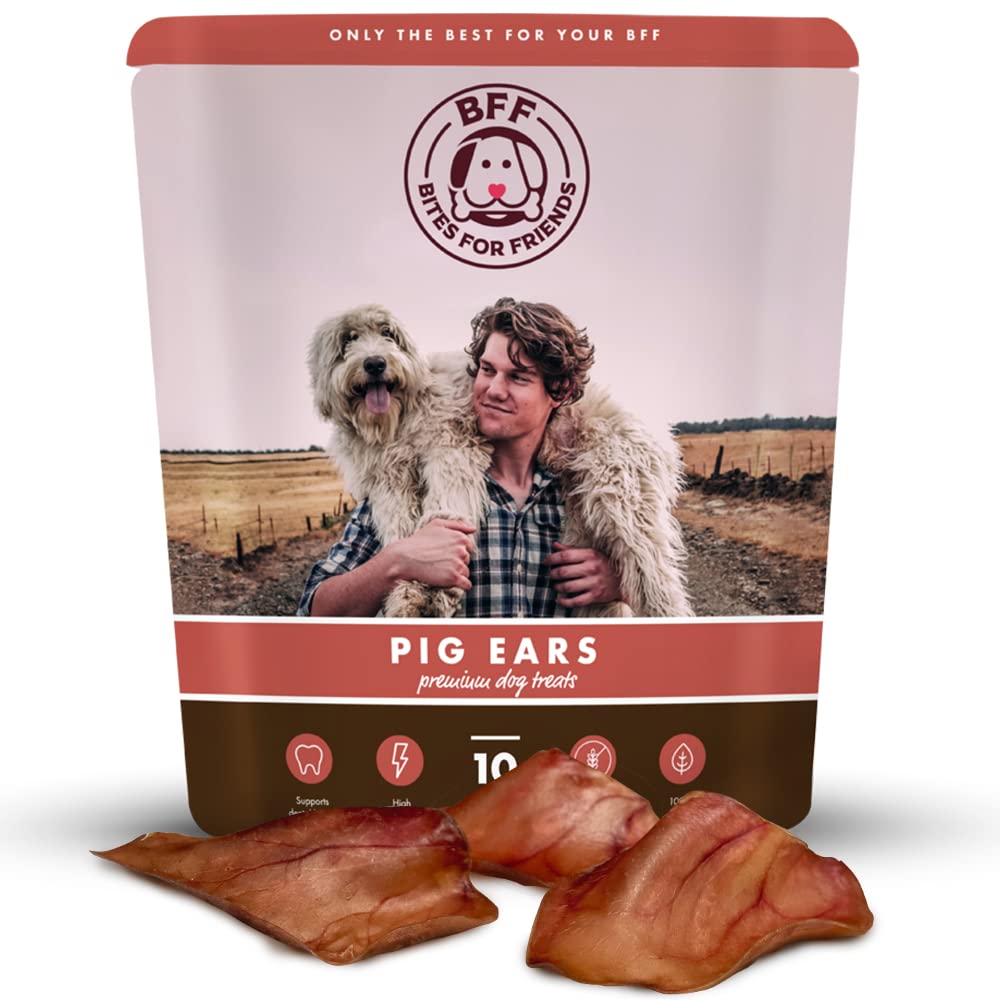 Pig Ears for Dogs (9 Count) - Long Lasting Chews for Aggressive chewers - No Hide Healthy Treat - Teeth Cleaning Treat - All Natural No Rawhide - for Small, Medium and Large Breeds