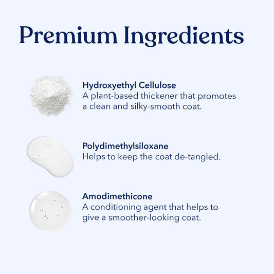 Honest Paws Dog Shampoo & Conditioner - Pet Grooming Bundle - Cleanse, Moisturize, Deodorize, Condition, Detangle - Mandarin & Berry