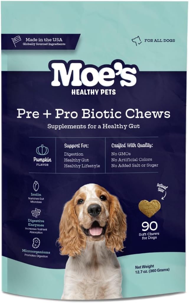 Moe’s Probiotic Chews for Dogs 90ct – Pumpkin Flavor Prebiotics & Probiotics for Gut Health, Digestion, Immunity and Itchy Skin Relief