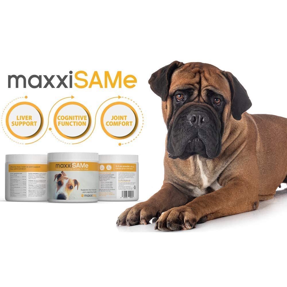 maxxipaws Ultimate Joint Support for Dogs – maxxiflex+ Canine Hip and Joint Supplement & maxxiomega 3 6 9 Omega Fish Oil & maxxiSAMe Advanced SAM-e Support for Dogs
