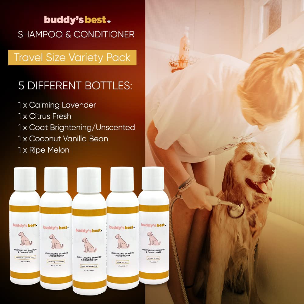 Dog Shampoo for Dry and Itchy Skin Made in The USA by Rockwell Pets Pro (16 fl oz) ideal paw cleaner for dogs with Aloe Vera Argan Oil Natural Willow Meadowsweet Chaparral and Olive Extracts